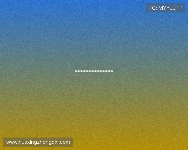 华体会官网安全漏洞检查与修复持续优化平台安全防线