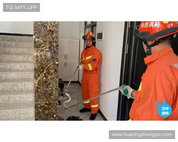 亚博YaBo网站安全保障措施,确保您的个人信息与资金安全无忧 亚博YaBo网站安全保障措施,确保您的个人信息与资金安全无忧