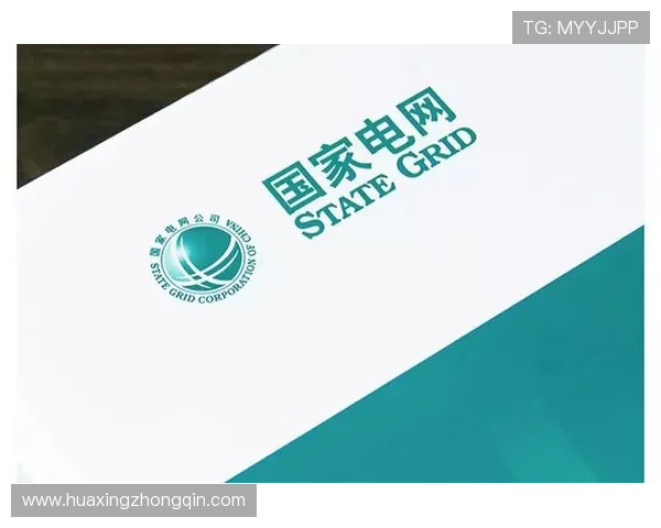 全面解析hth官网登录入口的安全保障措施,保障玩家账号信息安全 全面解析hth官网登录入口的安全保障措施,保障玩家账号信息安全