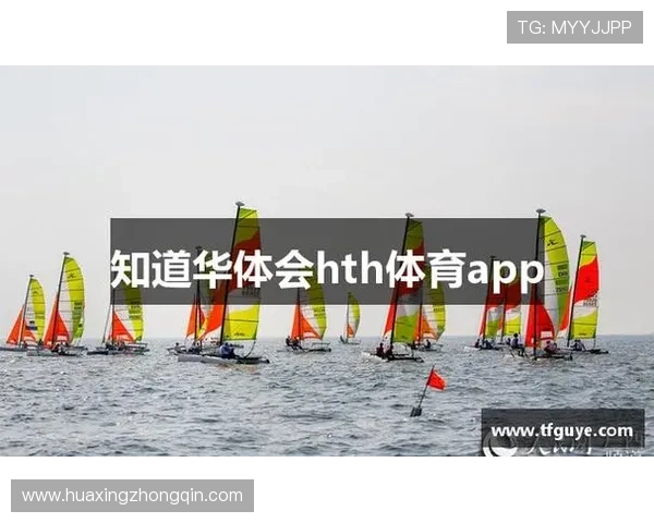 华体会在线地址稳定性分析，确保每次登录都能顺利进入游戏世界